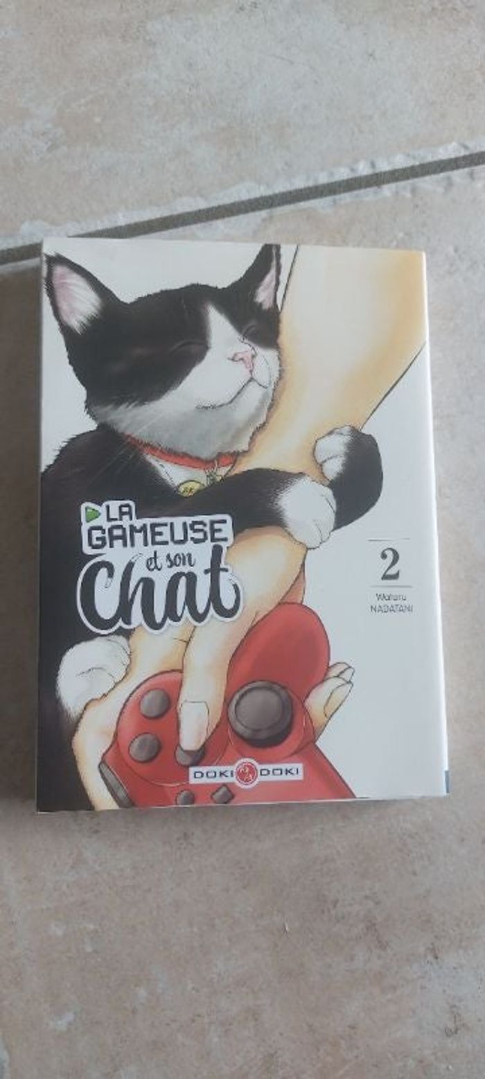 La gaeuse et son chat 2