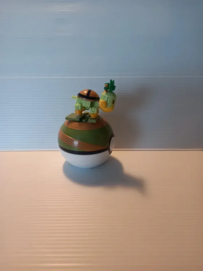 Mega tortipouss - photo numéro 2