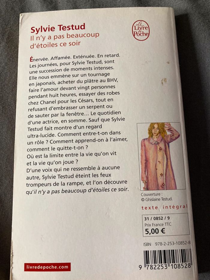 Sylvie testud : il n’y a pas beaucoup d’étoiles ce soir - photo numéro 2
