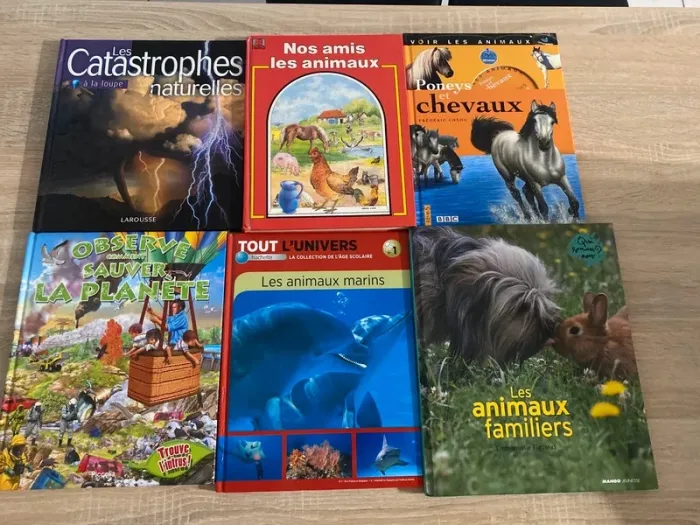 lot de six gros livre pour enfants/ado, apprentissage de la vie et du monde