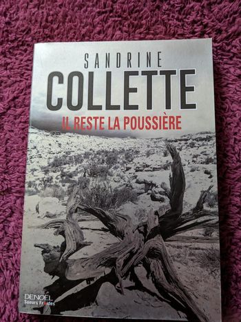 Il reste la poussière de Sandrine Collette