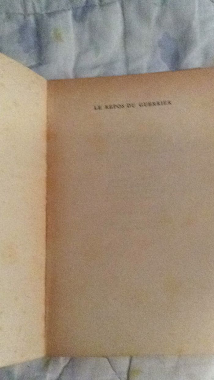 # le repos du guerrier par Christine Rochefort - photo numéro 4