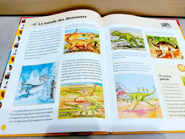 📚 Livre : Les dinosaures, savoir et découverte - photo numéro 2