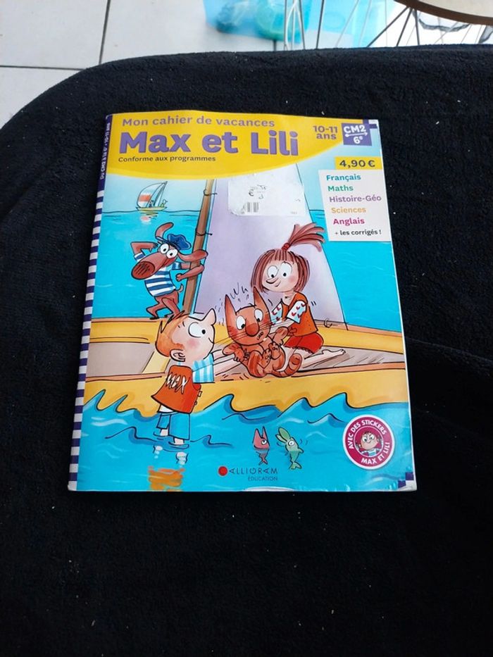 Cahier de vacances cm2/6eme