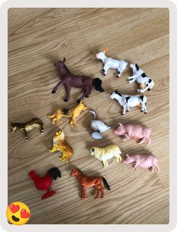 Animaux de la ferme