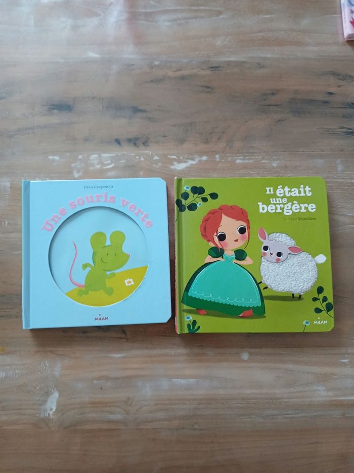 Lot 2 livres à toucher