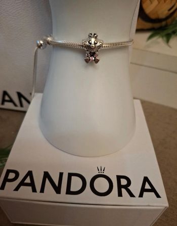 Charm chat Cheshire de Alice au pays des merveilles 