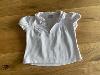 Polo cyrillus