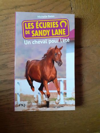 🐎 Les écuries de Sandy Lane un cheval pour l'été
