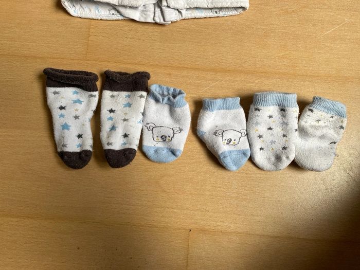 Ensemble koala - photo numéro 5