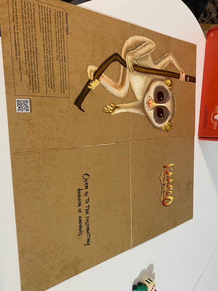 Kaadoo The Big Game jeu en Anglais - photo numéro 7