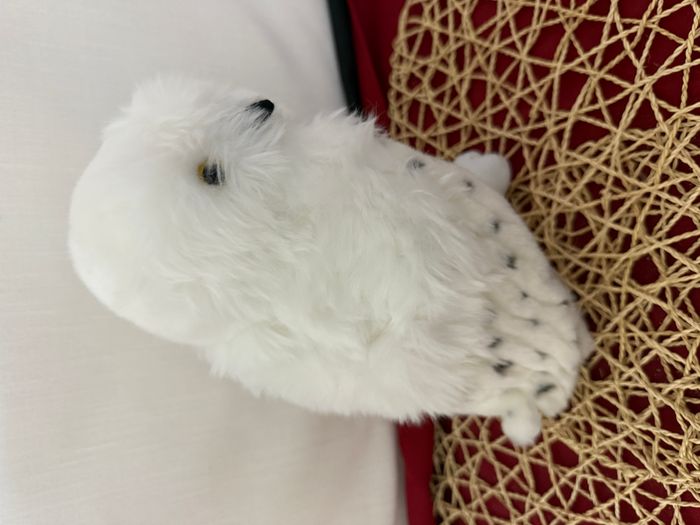 Peluche Hedwig - Harry Potter - photo numéro 6