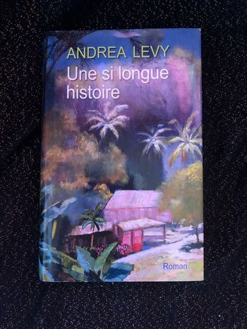 Roman une si longue histoire