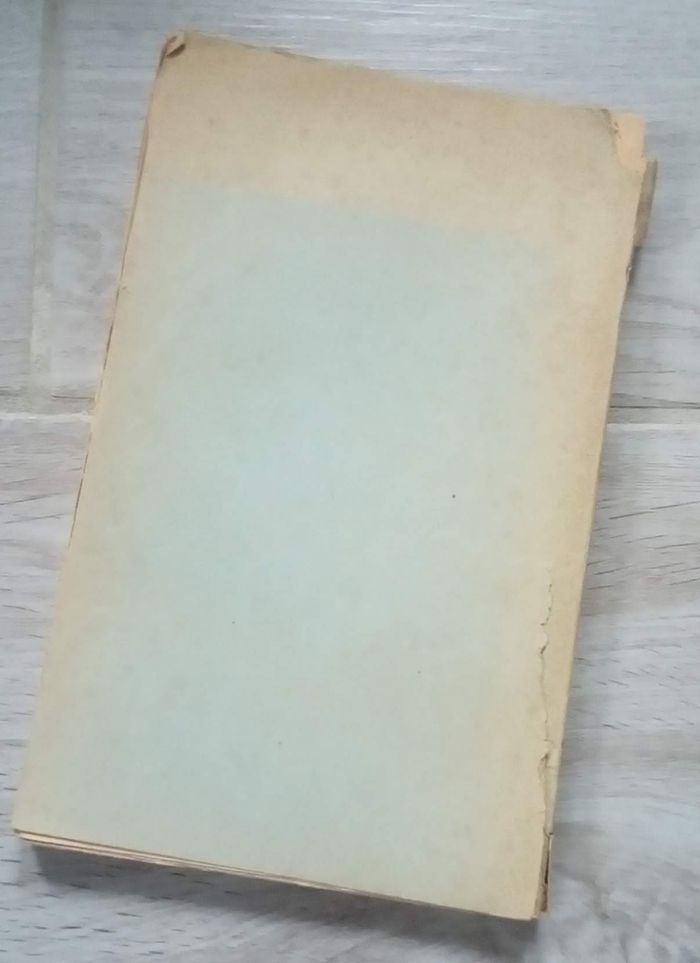 🐯 Livre ancien Doon de Mayence de Fernand Lanore 🐯 - photo numéro 2