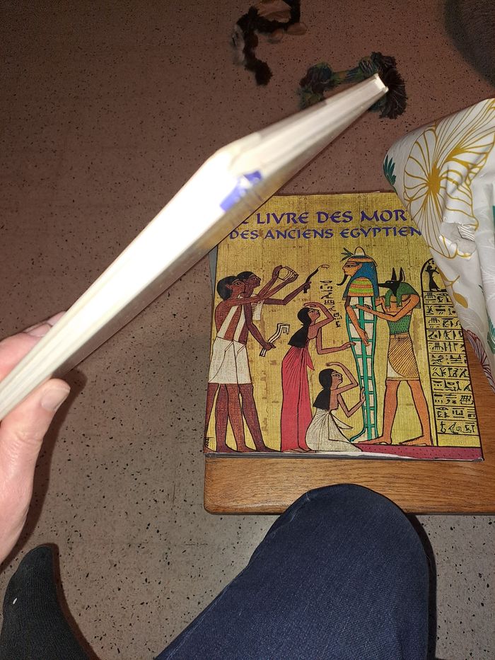 Jo, derib - photo numéro 6