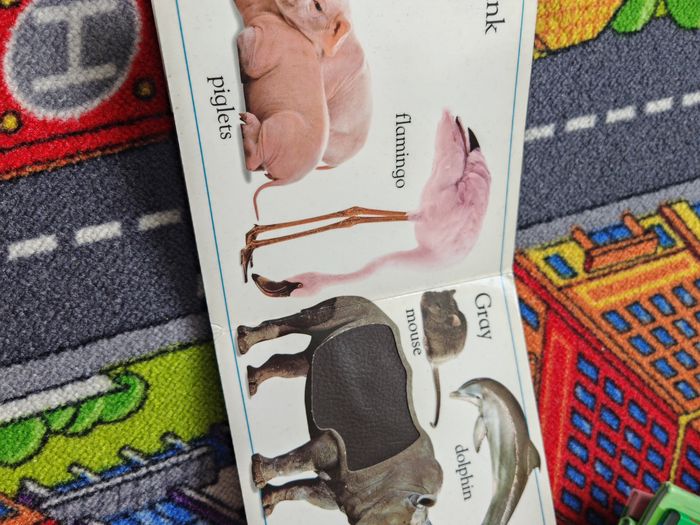 Imagier anglais - photo numéro 4