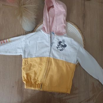 Capuche fille disney 3/4 ans