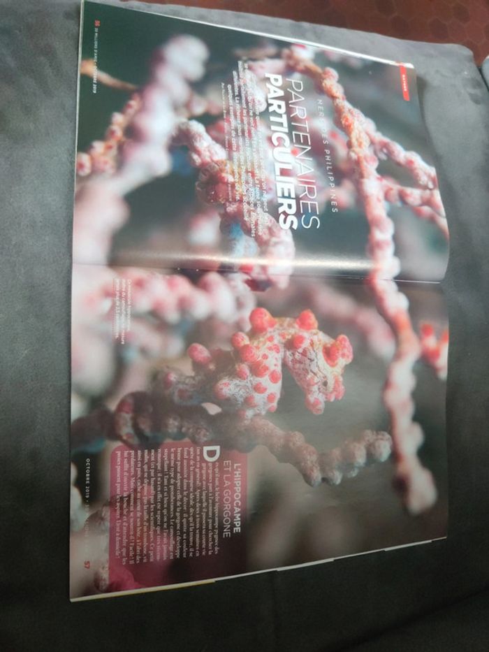 Magazine 30 millions d'amis numéro 377 octobre 2019 - photo numéro 10