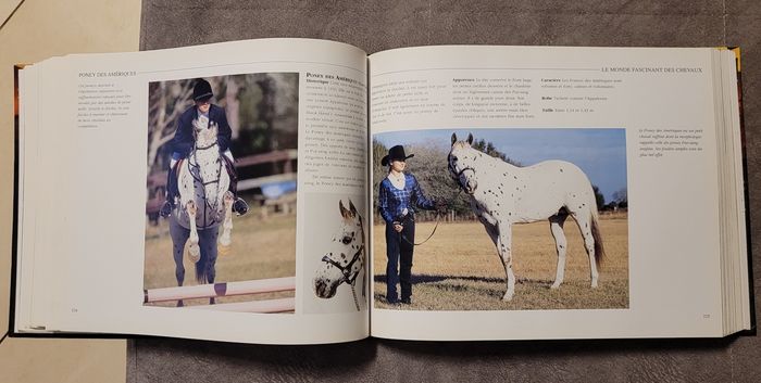 Le Monde fascinant des chevaux Magali Guenette - photo numéro 5