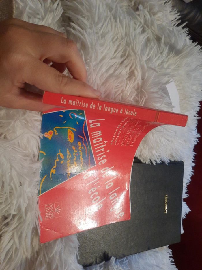 La maitrise de la langue à l'école - photo numéro 2