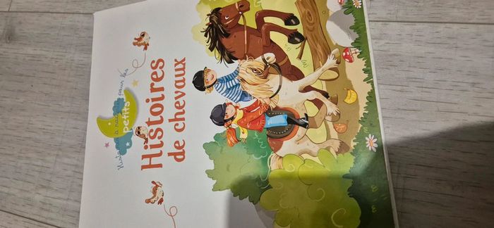 Livre histoires de chevaux - photo numéro 6
