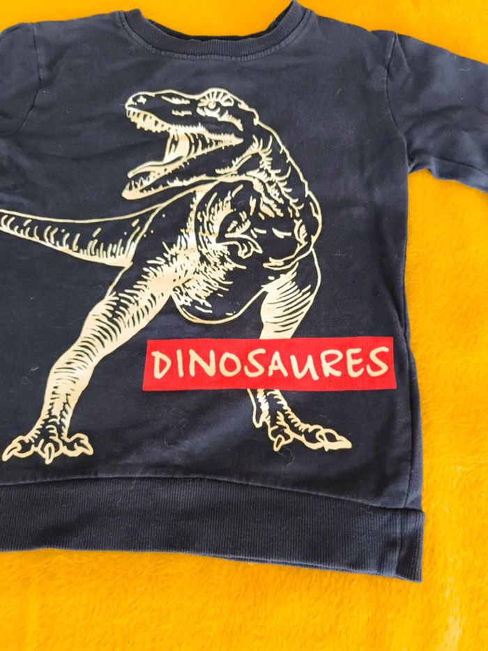 Pull dinosaures - photo numéro 2