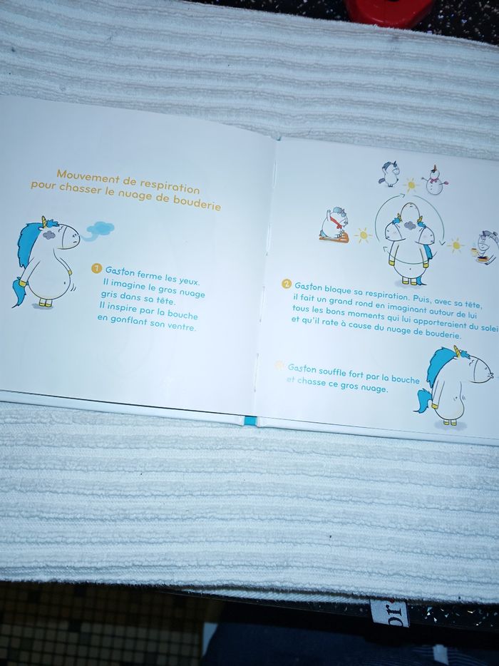 Livre les émotions de Gaston - photo numéro 5