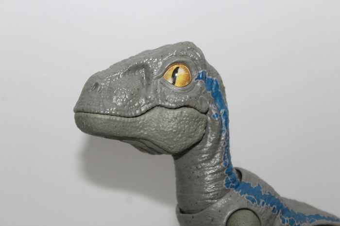 Figurine Dinosaure Velociraptor Baby Blue Beta - photo numéro 2