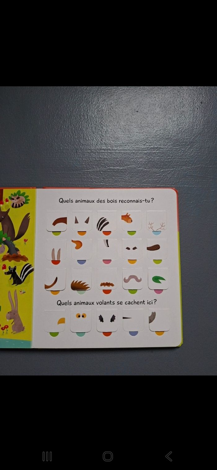 Livre à rabats - photo numéro 6