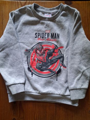 Pull garcon -  4/5 ans - Spiderman at Primark