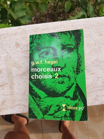 Morceaux choisis Tome 2 - Hegel