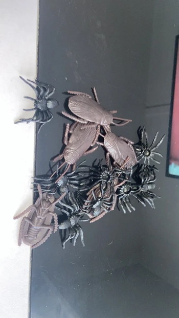  araignée et cafard en plastique