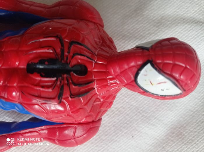 Spiderman 2013 - photo numéro 4