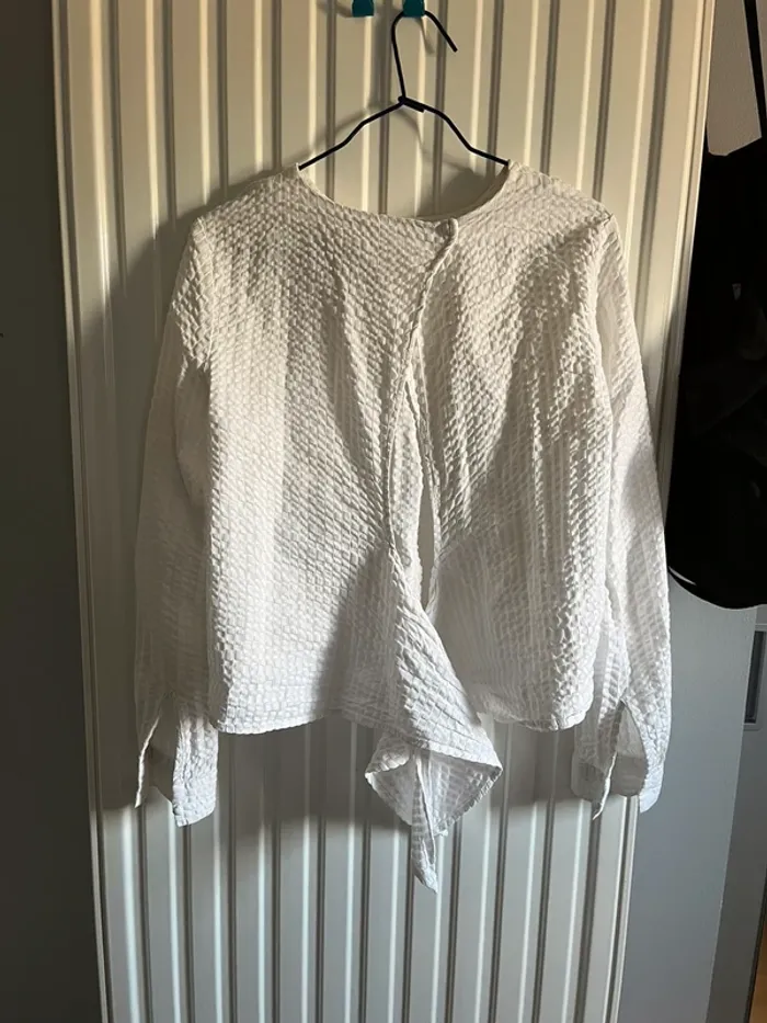 Chemise dos nu - photo numéro 5