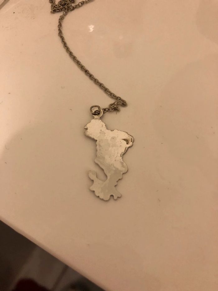 Médaille Mayotte - photo numéro 2