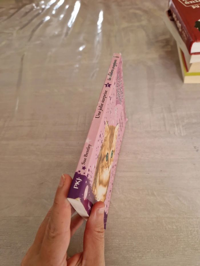 Une jolie surprise - photo numéro 2
