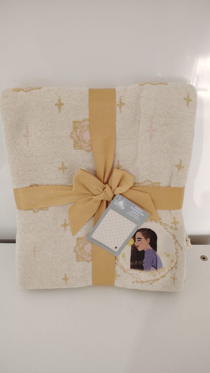 Plaid Disney  Asha Wish