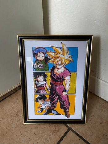 Cadre Gohan 