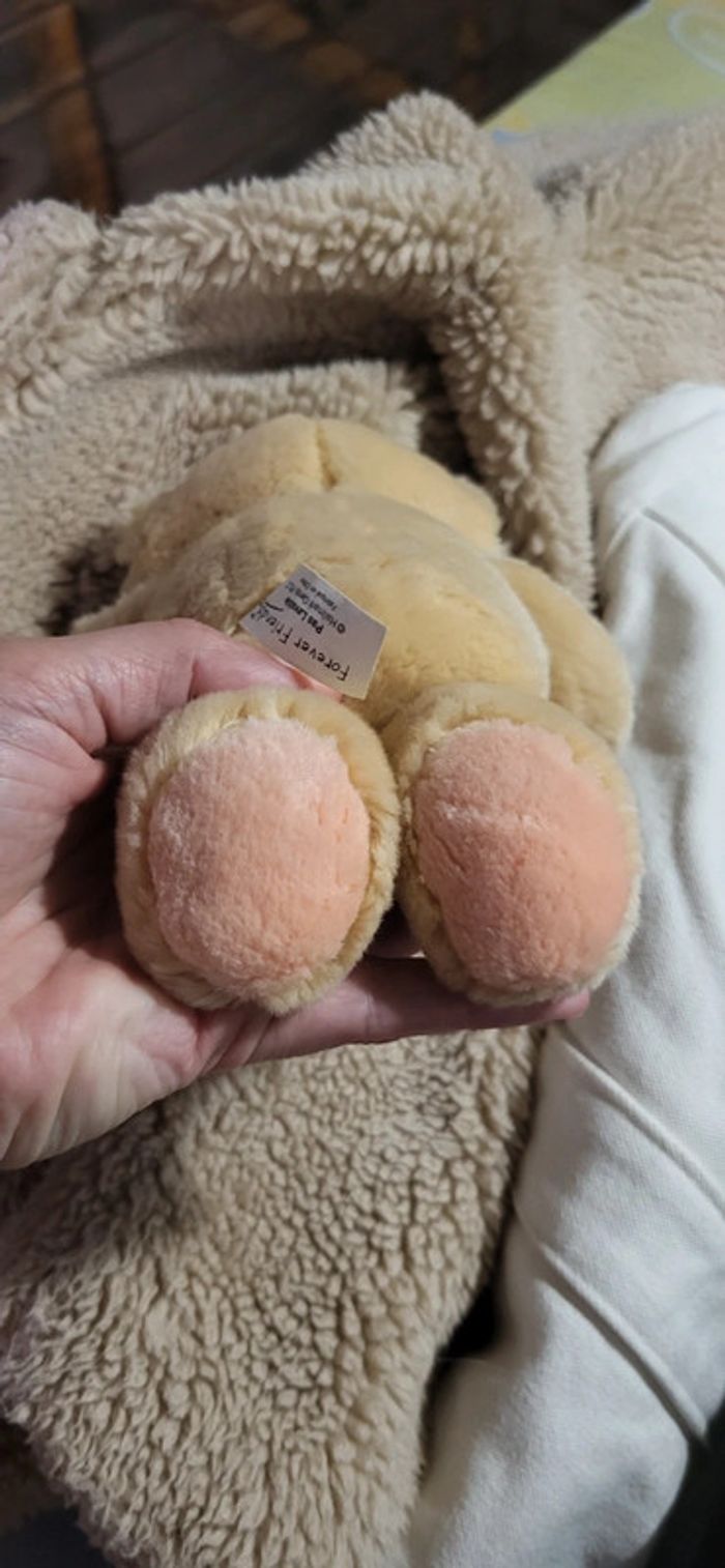 peluche ourson - photo numéro 5