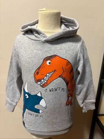 Pull garçon taille 116