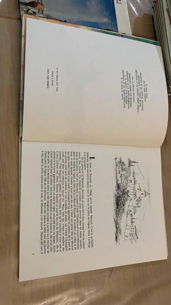 Le renard et Sébastien - photo numéro 3