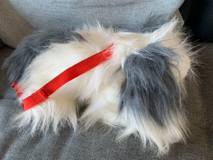 Peluches chien York - photo numéro 2