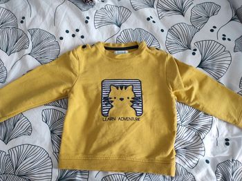 Pull obaïbi t23m tbe