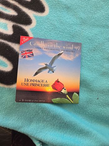 Hommage à  une Princesse