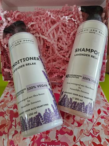 Lot shampoing et après-shampoing 