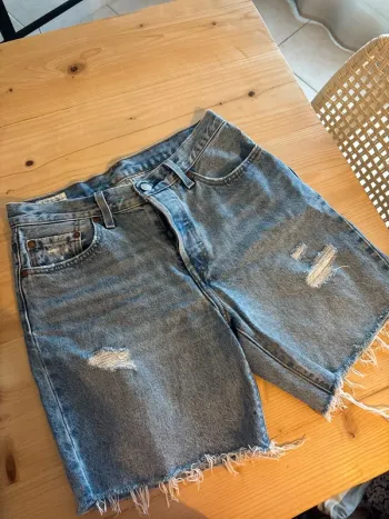 Short Lévis 501
