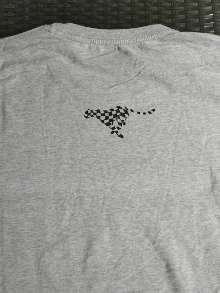 Tee shirt gris - photo numéro 4