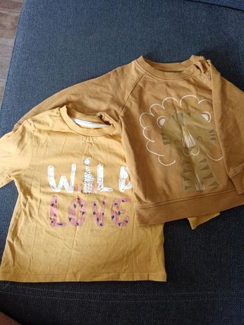 Lot 1 sweat + 1 t-shirt