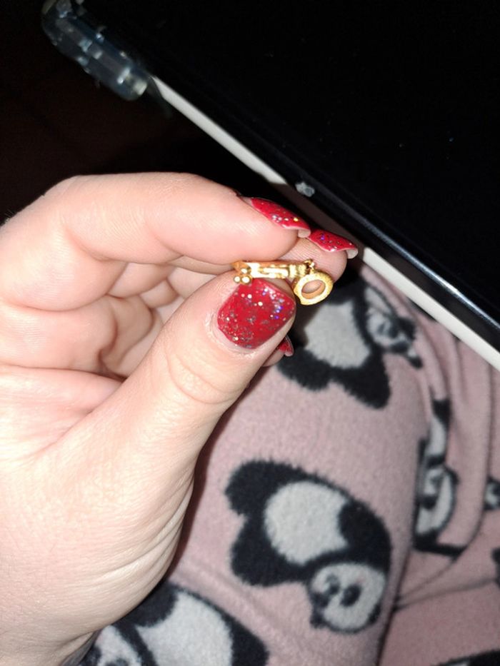 Accessoire - photo numéro 4