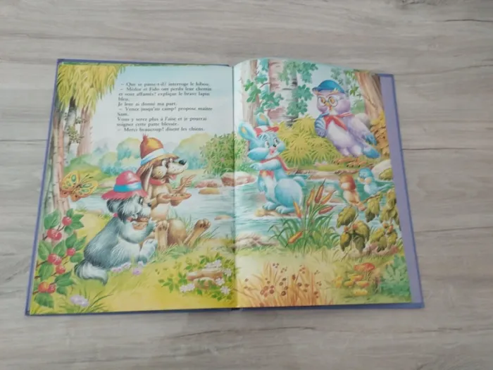 Le petit lapin bleu campe en montagne - photo numéro 3